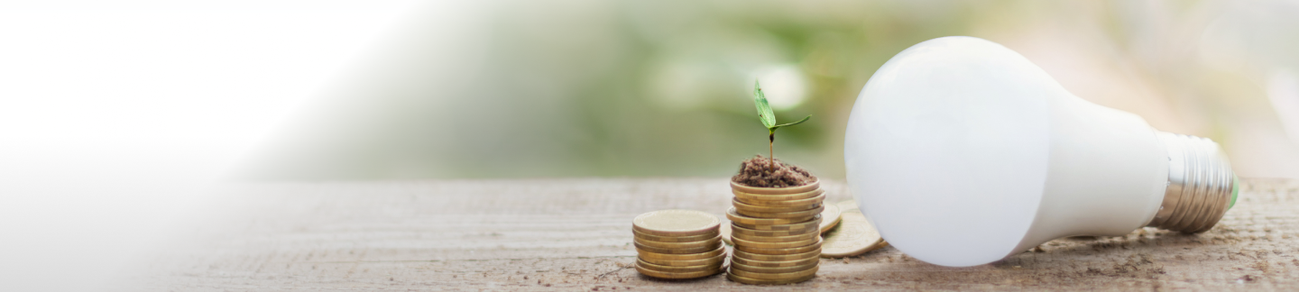 energy saving lightbulb, coins and a tiny plant